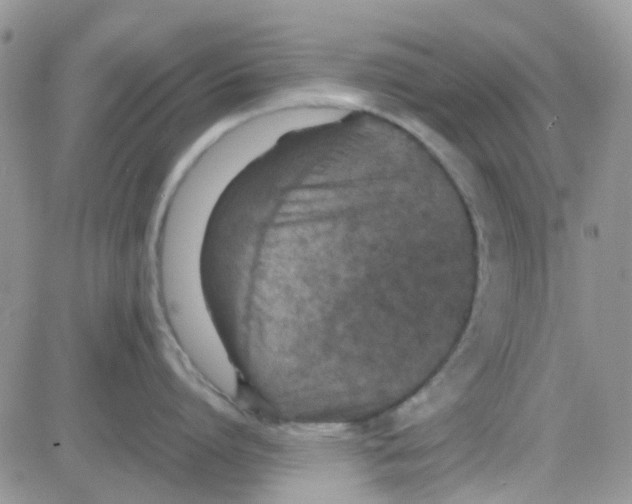 X0000082720864200702232320