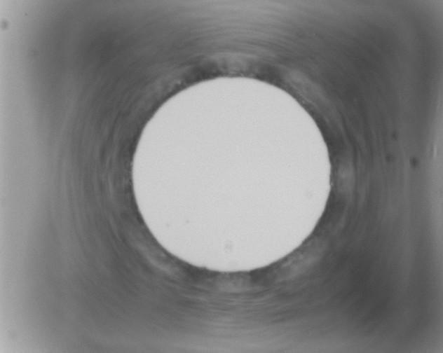 X0000082720865200702232319