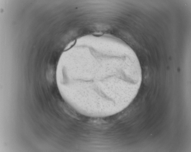 X0000082720866200702232319