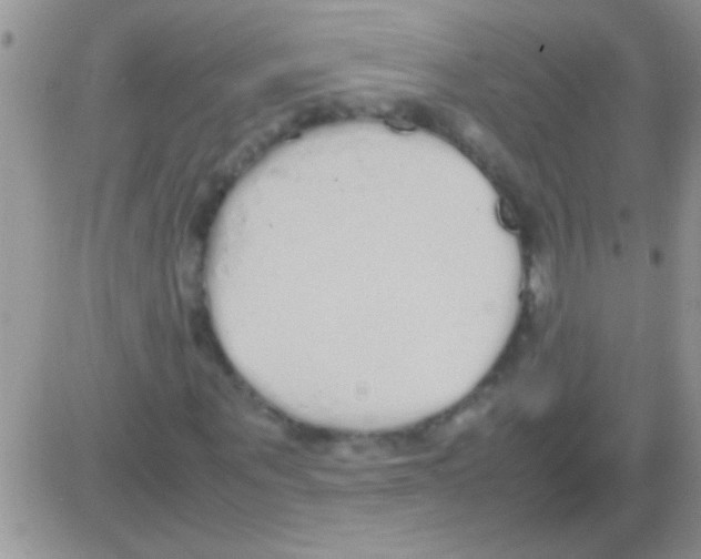 X0000082720867200702232319