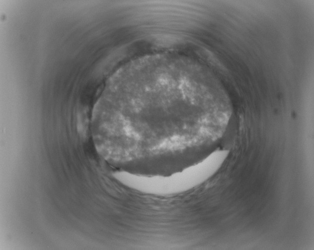 X0000082720868200702232319