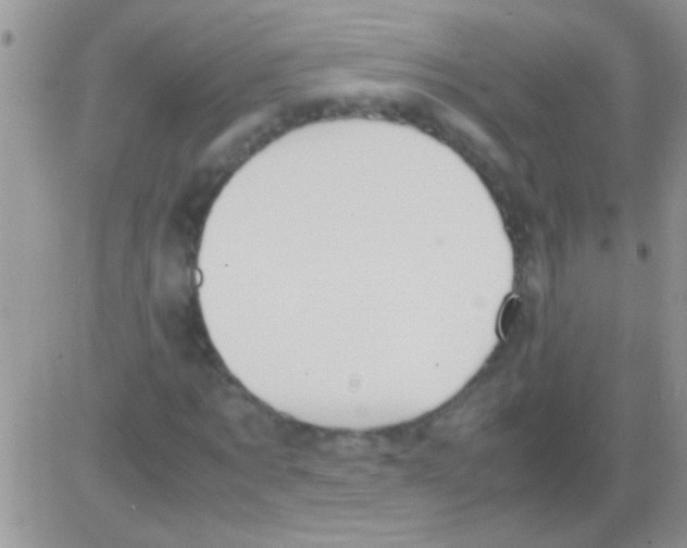 X0000082720869200702232319