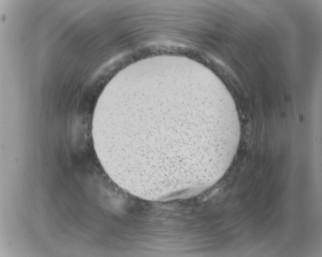 X0000082720870200702232319