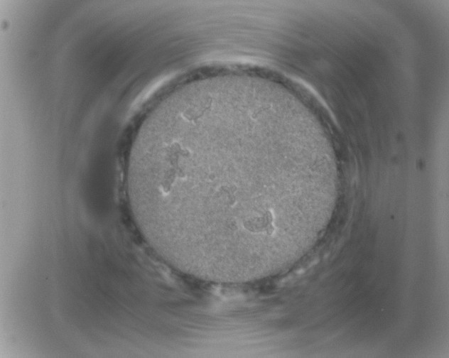 X0000082720871200702232319