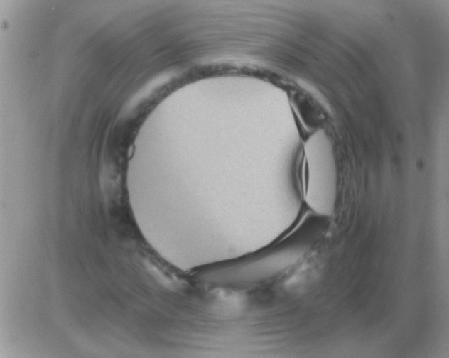 X0000082720872200702232319