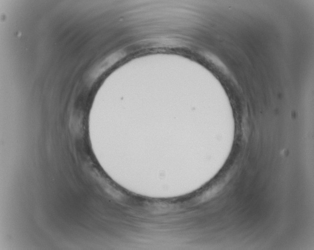 X0000082720873200702232319