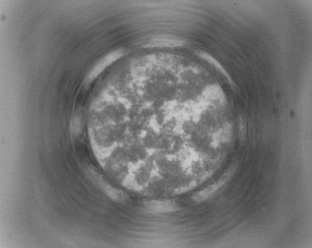 X0000082720874200702232319