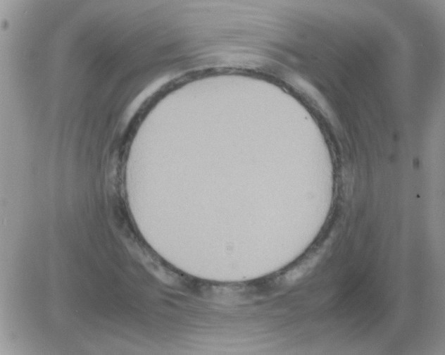 X0000082720875200702232319