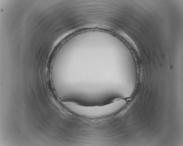 X0000082720876200702232319