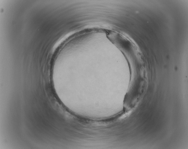 X0000082720877200702232319