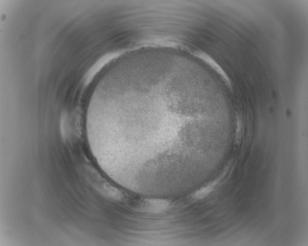 X0000082720878200702232319