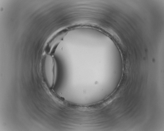 X0000082720880200702232319