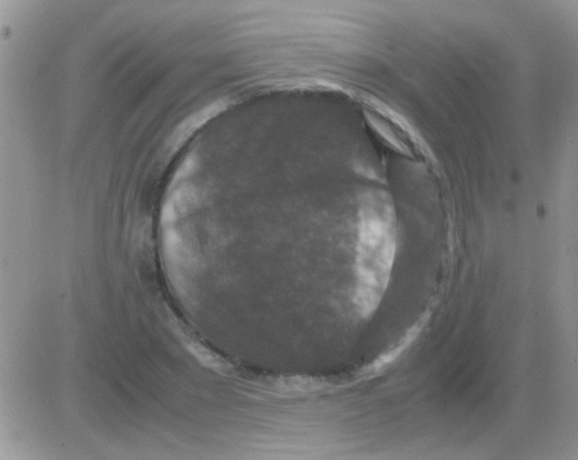 X0000082720881200702232319