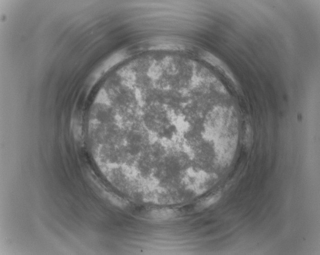 X0000082720882200702232319