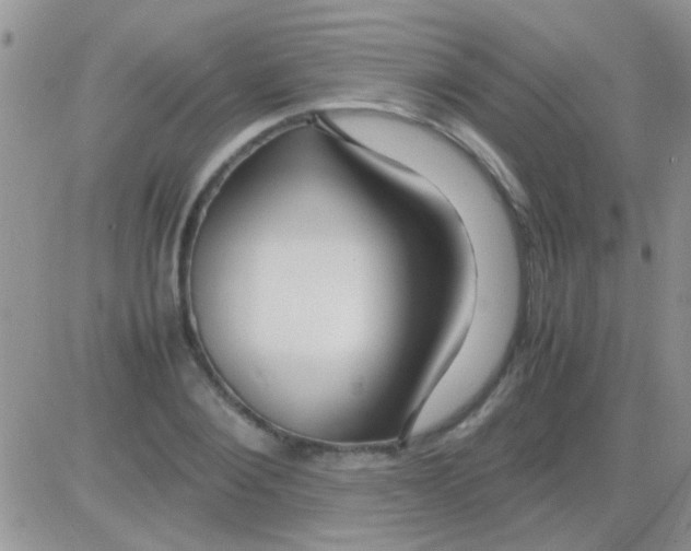 X0000082720884200702232319