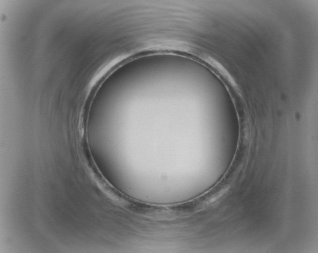 X0000082720885200702232319