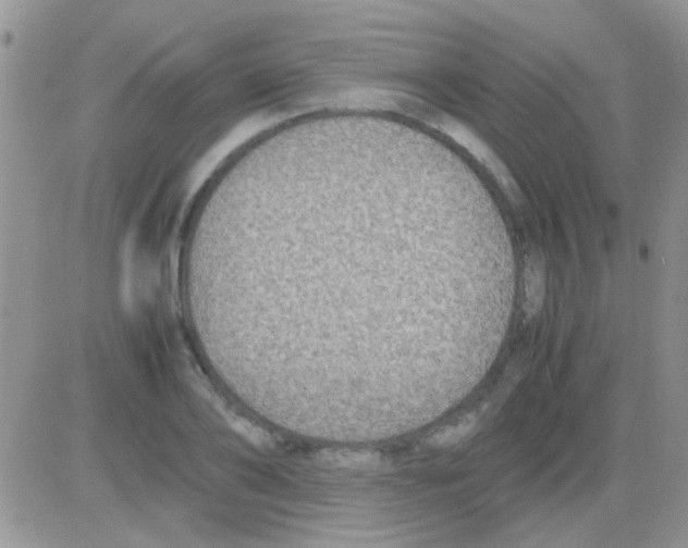 X0000082720886200702232319