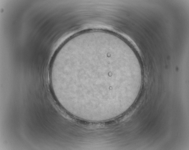 X0000082720887200702232319