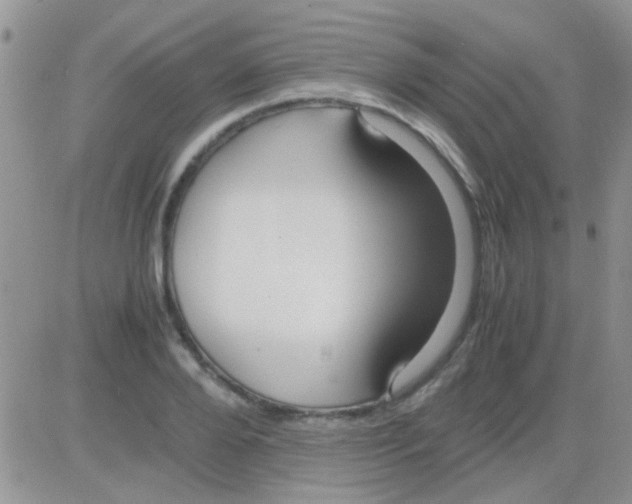 X0000082720888200702232319