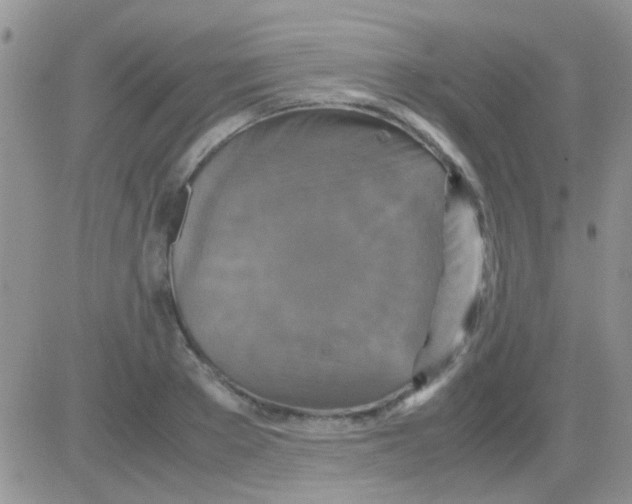 X0000082720889200702232319