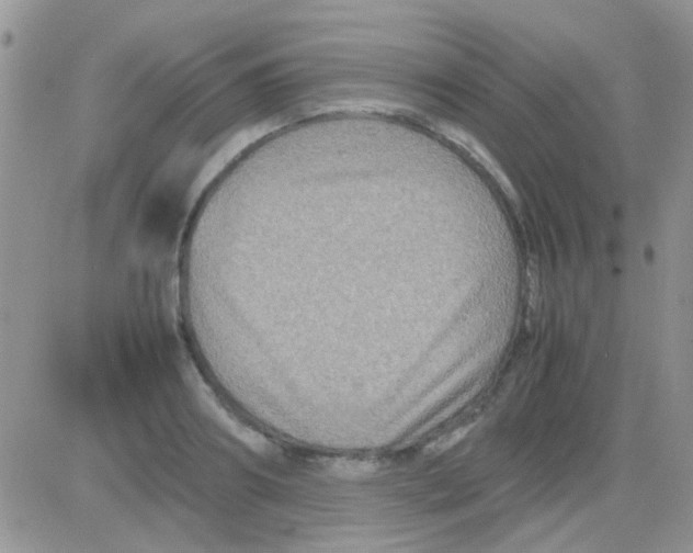 X0000082720890200702232319