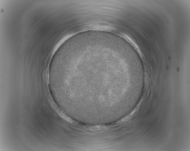 X0000082720891200702232319