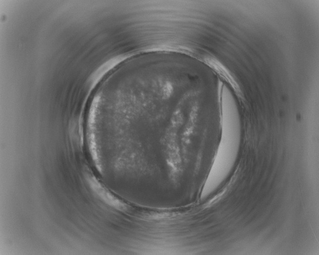 X0000082720892200702232319