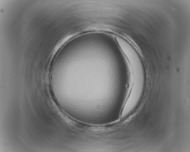 X0000082720893200702232318