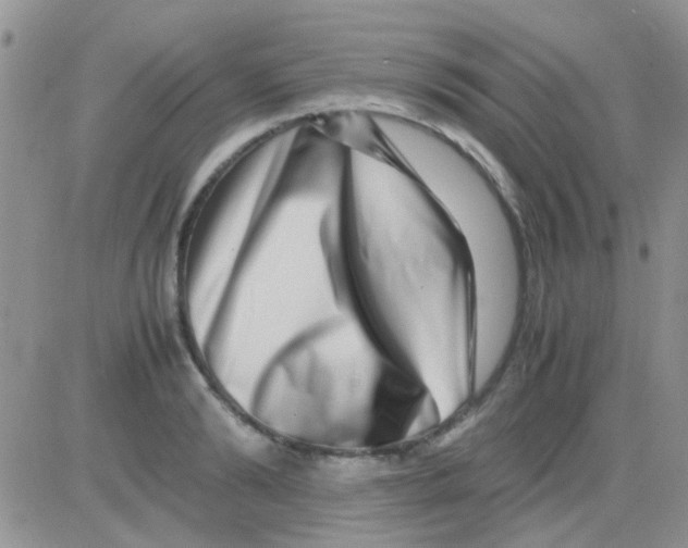 X0000082720894200702232318