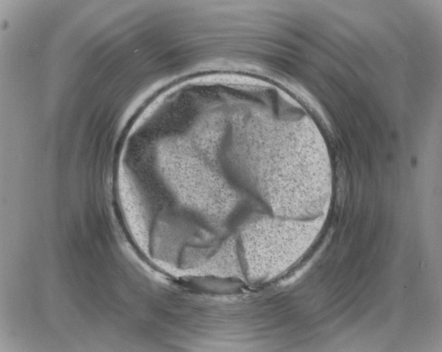 X0000082720896200702232318