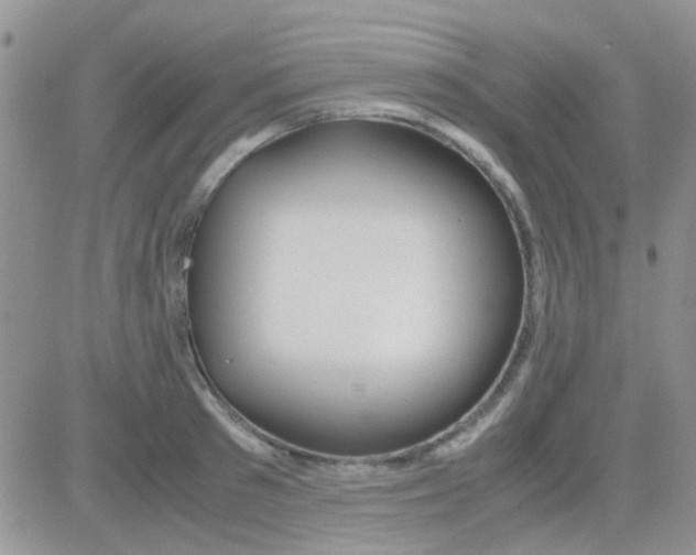 X0000082720897200702232318