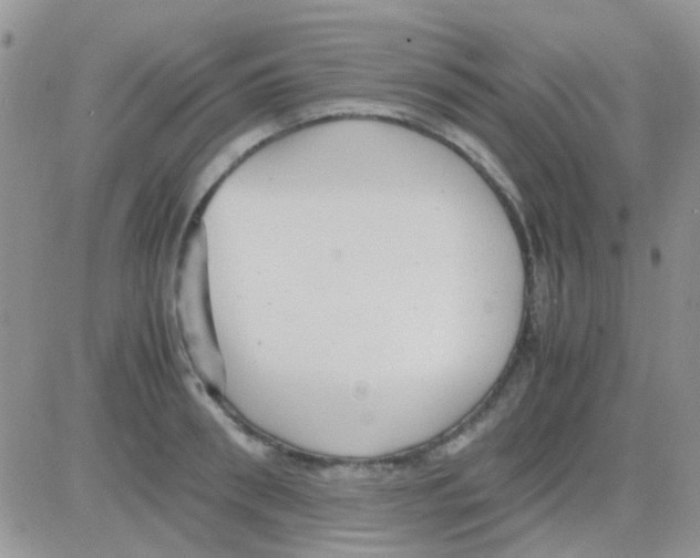 X0000082720898200702232318