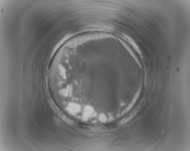 X0000082720899200702232318