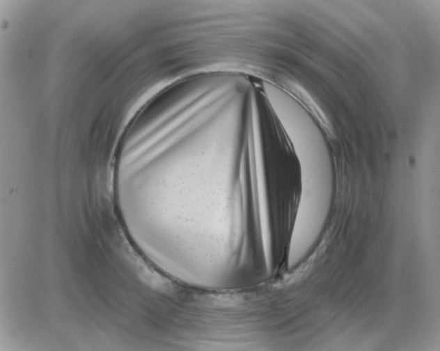 X0000082720900200702232318