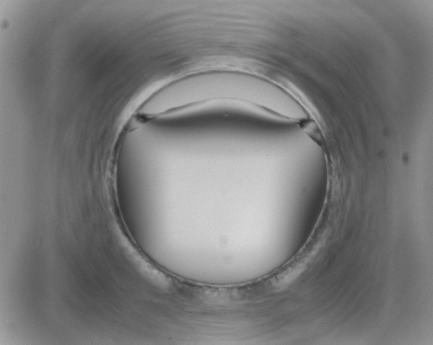 X0000082720901200702232318