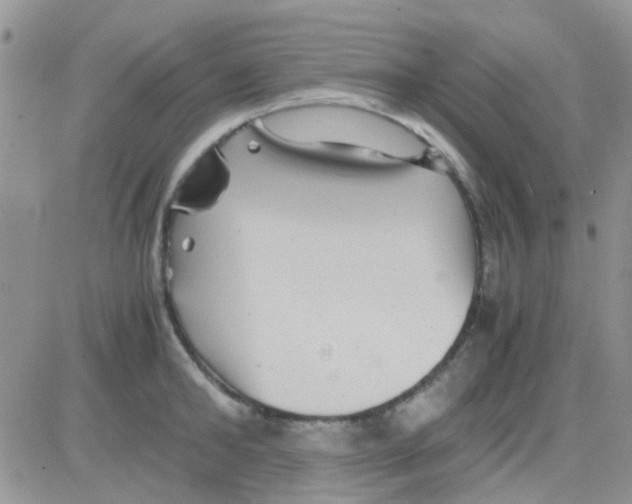 X0000082720902200702232318