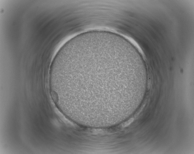 X0000082720903200702232318