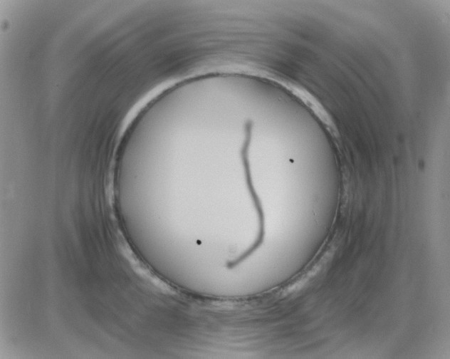 X0000082720904200702232318