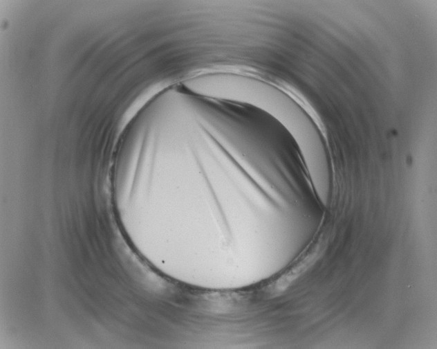 X0000082720906200702232318