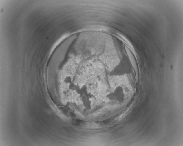 X0000082720907200702232318