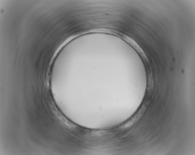 X0000082720908200702232318