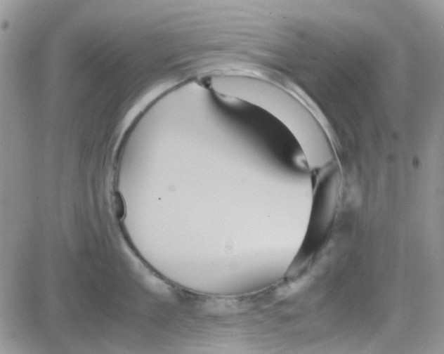 X0000082720909200702232318