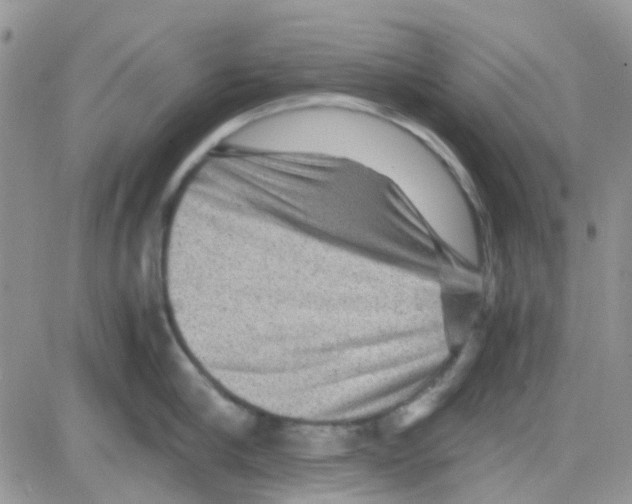 X0000082720910200702232318