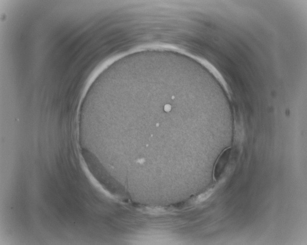 X0000082720911200702232318