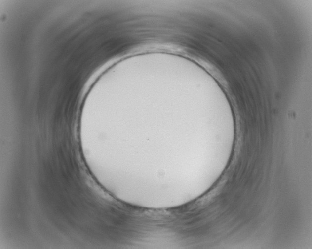 X0000082720912200702232318