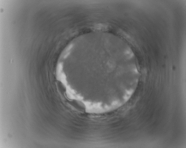 X0000082720913200702232317