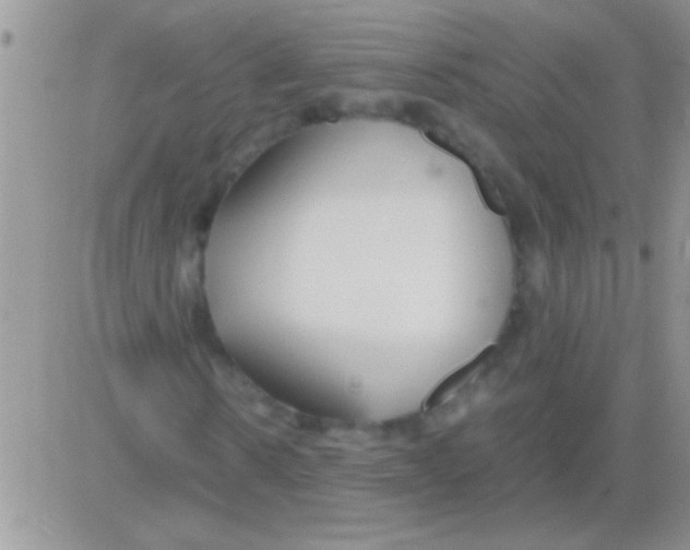 X0000082720914200702232317