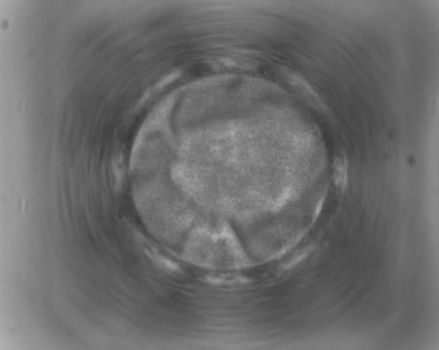 X0000082720915200702232317