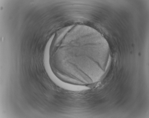 X0000082720916200702232317