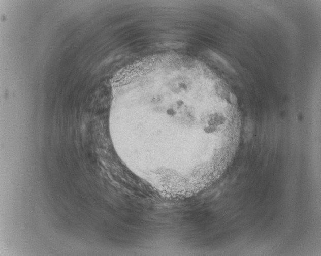 X0000082720917200702232317